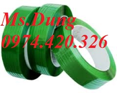 Dây đai PET giá rẻ nhất toàn quốc